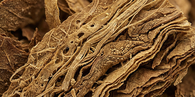 精细的再造烟叶切丝特写